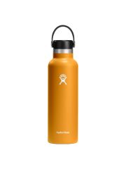 Hydro Flask 21 oz (621 ml) Standard Mouth isolierte Trinkflasche mit Flex Cap - Fossil