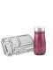 LunchBuddy Lunchbox "Bento Five" + Wanderer Isolierflasche (pink)